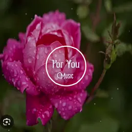 လိမ်လိမ်မာမာနေပါကလေးရယ်🥰🥰🎧#မြန်မာသီချင်းကောင်းများ🎧🎧🎸🎺🎼 #foryou #fyp 