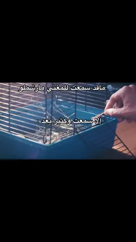 #مارشميلو #marshmello #fyp #foryou #viral 