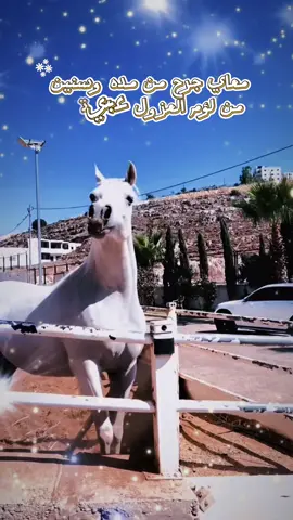#اغاني_حزينه #صعيدي #اكسبلورexplore #الصعيدي #قنا #قناوي_وافتخر 