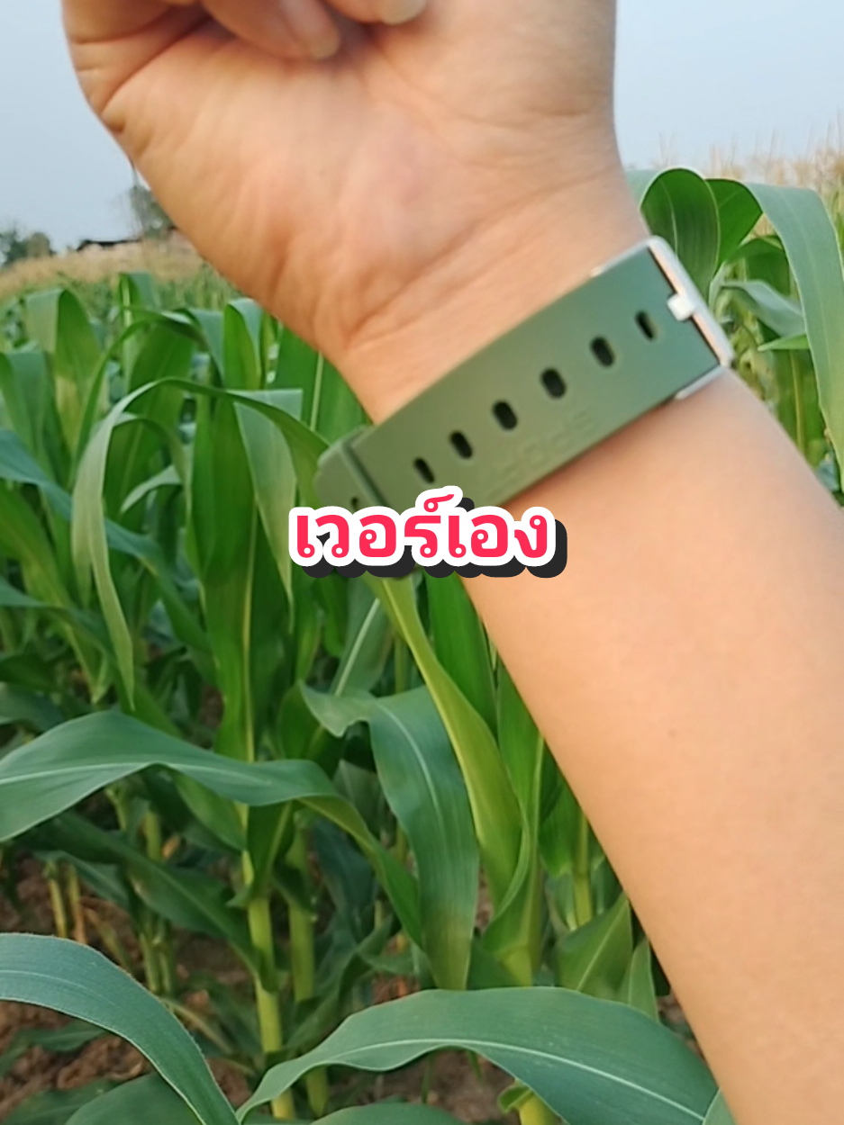 คือมันเวอร์อยู่แล้วอะ ราคานี้ทำได้ไง!!#นาฬิกา #นาฬิกากันน้ํา #นาฬิกาtomi #รีวิวของดีบอกต่อ 