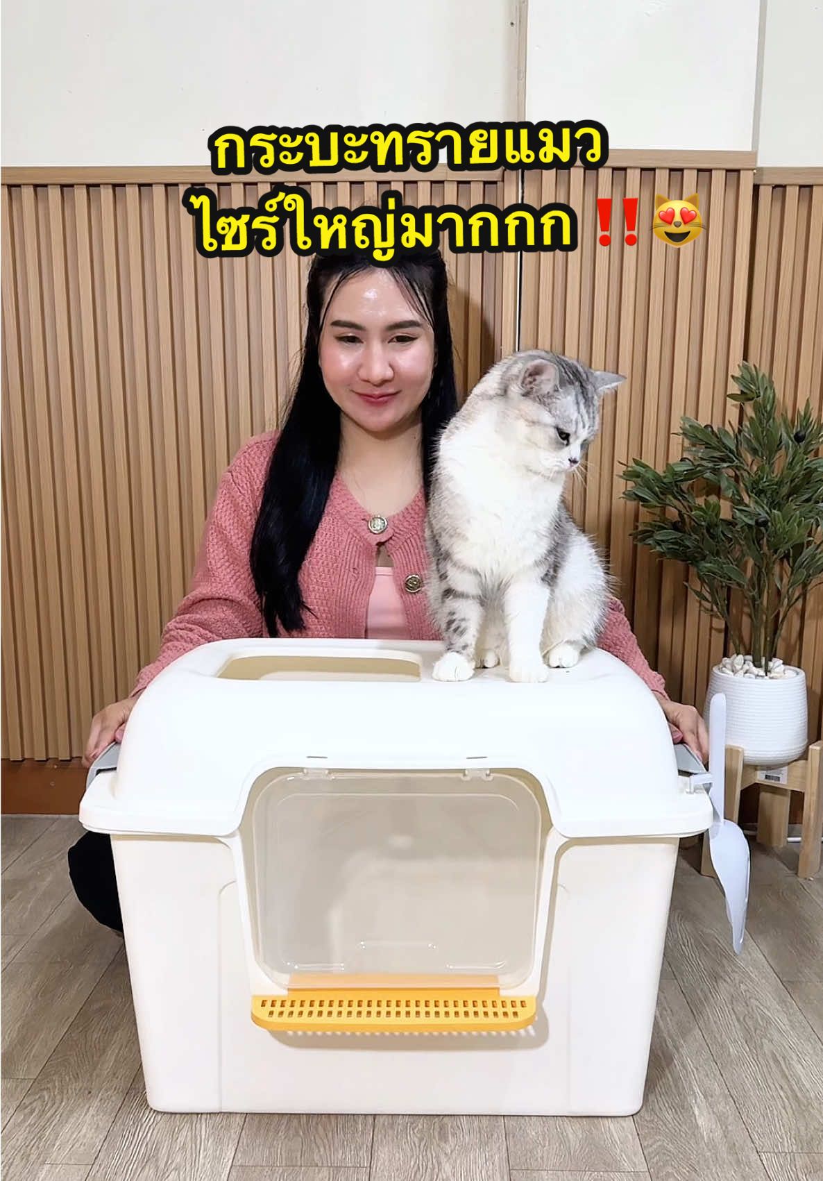 กระบะทรายแมวไซส์ใหญ่มากกก 😻‼️ #กระบะทรายแมว #ทรายแมว #ทรายแมวเต้าหู้ #ห้องน้ําแมว #กระบะทรายแมวรุ่นทรงขอบสูง #ของใช้สัตว์เลี้ยง 