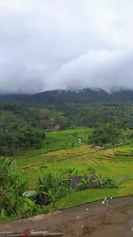 wilujeng weungi Baraya katresna🥰 #lagusunda  #pedesaan #kustianmakalangan 
