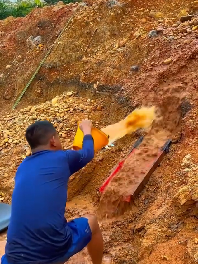 Looking for gold and panning for gold buried in river walls #goldpanning #mininggold #goldhunter #golddiscovery #viralvideo #foryou #foryoupage 