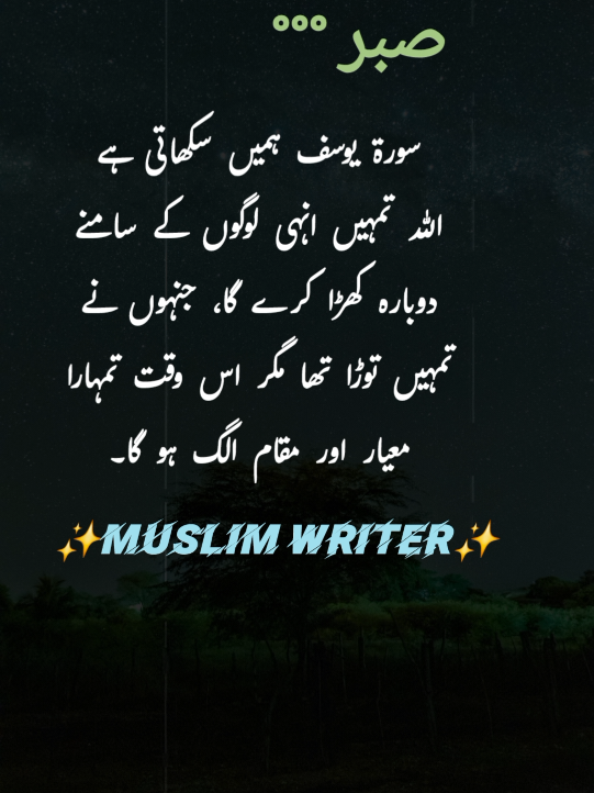 صبر ❤️🌹💯🌷 #1millionaudition #aesthetic #dontunderreviewmyvideo #foryou #poetrystatus #foryoupage #viewsproblem #islamic_video #fyp #growmyaccount  @TikTok 