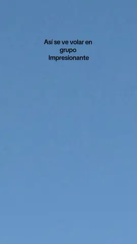 Así se ve volar en grupo impresionante El cielo se lleno de colores por los Parapentes 🪂🪂 #Parapente  #volar  #cielosbonitos  #parati  #naturalezaporelmundo  #naturalezaincreible 