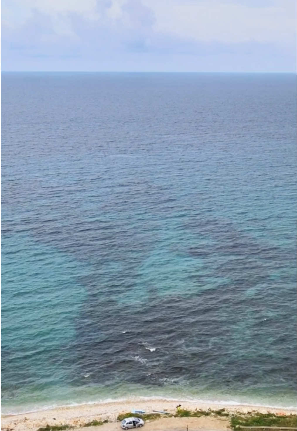📢 Secondo episodio della rubrica: “lo sapevate che ad Avola ?” ℹ️ Una rubrica che vi mostrerà tutte le attività che fanno parte della rete di “Avola tra mare & Canyon”  In questa puntata: • Le Riserve di Cavagrande • Frantoio Papelli • NCC Giallongo Salvatore   📲 Segui tutti i video per scoprirle tutte  🎬 @cristina_popolo_rubbio_agency  🏷️  #avola #mare #canyon #sea #turismo #sicilia #siracusa 