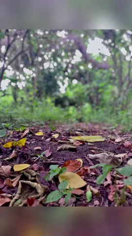 Somewhere in Ondo State Melenge #ebira2dworld 
