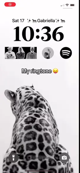 #ringtone #fypシ #fypage #music #Summer 