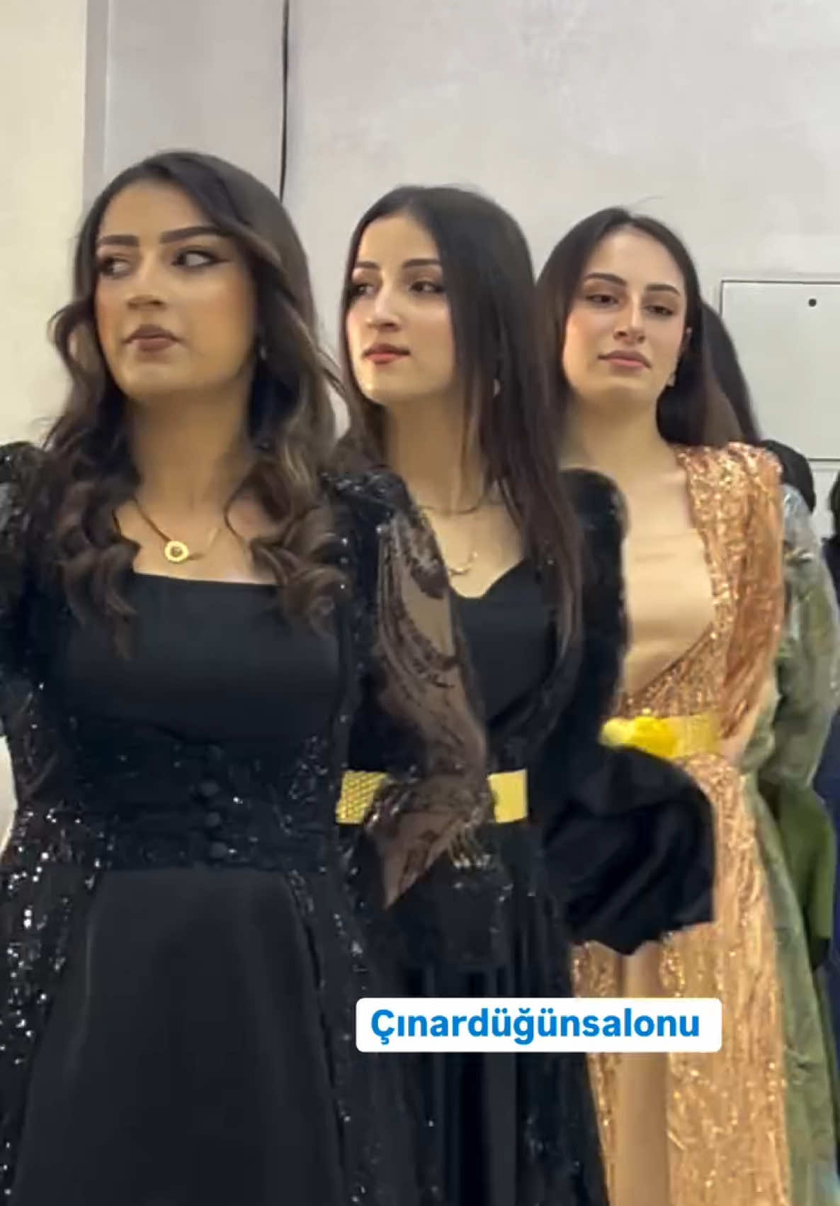 #colemergarengi🧑‍🤝‍🧑 #kurdıshwedding #kürtkızlarıbirbaska #halaybaşı #şiyarberwari 