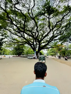 একটা রাস্তা, একটা গাছ, আর অফুরন্ত দূরত্ব #foryou #1millionaudition #unfrezzmyaccount #MorningRide #StreetView #RickshawVibes #CityCalm #NatureInCity   #PeacefulJourney #EverydayBangladesh #LifeOnTheRoad #Local #rickshaw 