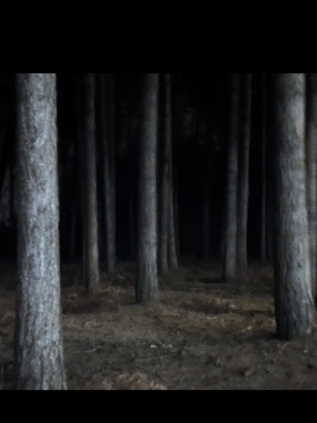 #horrortok #horror #forest #helpme #terrortiktok #terror #suspenso #misterio #bosque #weirdcore #horrorcore #darkforest #nightcore #night 