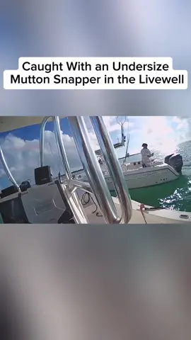 Caught With an Undersize Mutton Snapper in the Livewell