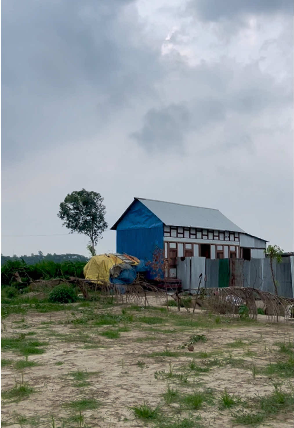 গ্রাম মানেই শান্তি। আজকে বিকেলে একটু হাতটে বের হইছিলাম আল্লাহ এতো বাতাস মাশআল্লাহ পুরা এসি কে বলে দূরে থাক।😌💚🌬️ #viral_video #fypシ゚ #trendingvideo #followers😘 #trending #followmypage✅ #support_me_guys🙏 #support_me 