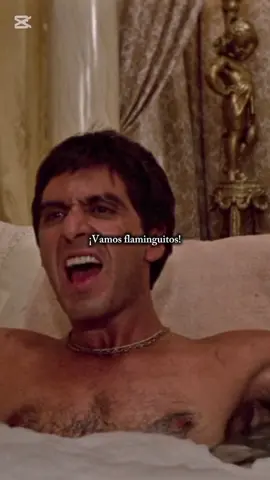 #parati #viral #scarface #flamenco #alpacino #tonymontana #humor 
