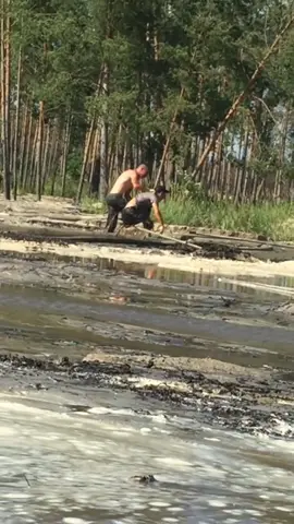 #рек 