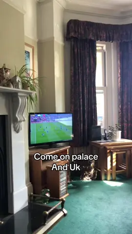 Come on palace and uk #crystal #palace #footballtiktok #fa #facup #facupfinal #final #winner #winners #euro #contest 