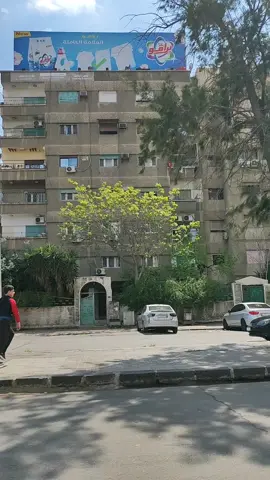 #دمشق #الشام #شام #سوريا #حارات_الشام_القديمة  #شوارع_دمشق #البرامكة #