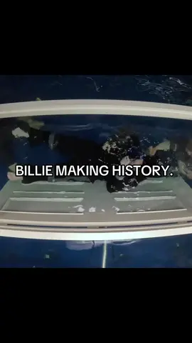 HAPPY HMHAS ANNIVERSARY  #gbrlleilishh #billieeilish #billieeilishfan #billiefan #billieeilishpiratebairdoconnell #hitmehardandsoftbilllieeilish #hitmehardandsofttour 