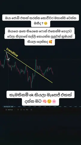 සරලව හරියට ඉගන ගන්න කැමත් අය ok කියා මැසෙජ් එකක් දන්න මම  🧠