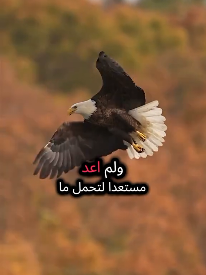 #explore #واحد #one 