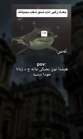 #duhok #funny #CapCut #keşfet #sad #حزین #parati #iraq #zaxo #kurdistan #foryoupage #foryou #trending #tiktok 