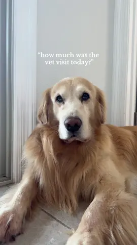 anything for this diva I guess 