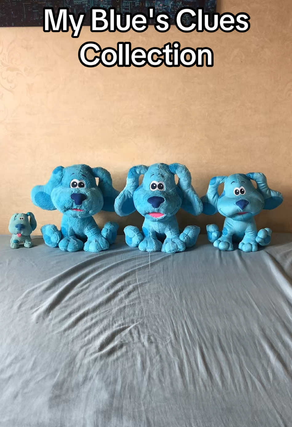 My Blue's Clues Collection #bluesclues #collection #childhood #seanhensley