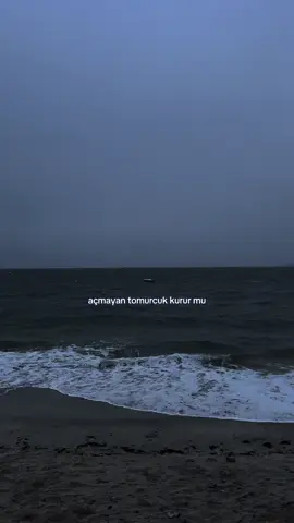 #keşvetbeniöneçıkar #keşfetteyizzz #keşfett #keşfetteyim #keşfet #E 