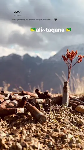 بەرەو فۆڕیو هەموتان دڵن  برادۆستم♥️🪖🇬🇫🇬🇫⛰️