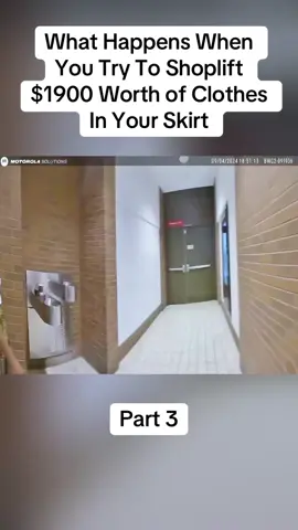 What Happens When You Try To Shoplift $1900 Worth of Clothes In Your Skirt #cops #copsoftiktok #police #policeofficer #bodycam #crime #truecrime #truestory #foryou #fyp 