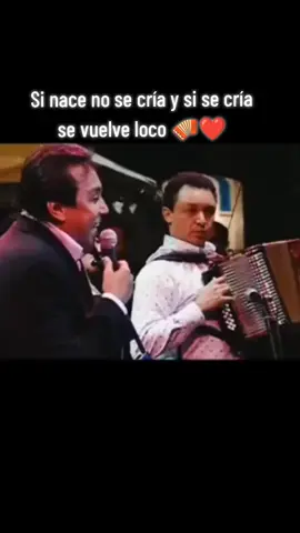 Tú eres la Reina - la que me enseñó la manera de vivir nada más #CapCut #diomedesdiaz #vallenato #diomedes #vallenatos #diomedesdiazoficial #vallenatosdeoro #vallenatosyestados #vallenatosromanticos #cacique #lajunta #laguajira #valledupar #barranquilla #acordeon #vallenatoscolombianos 