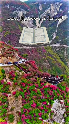 #قران #الشيخ_وليد_ابراهيم_الفلوجي_رحمه_الله #قران_كريم_القران_الكريم #قران_كريم_ارح_سمعك_وقلبك #القران_الكريم_راحه_نفسية 