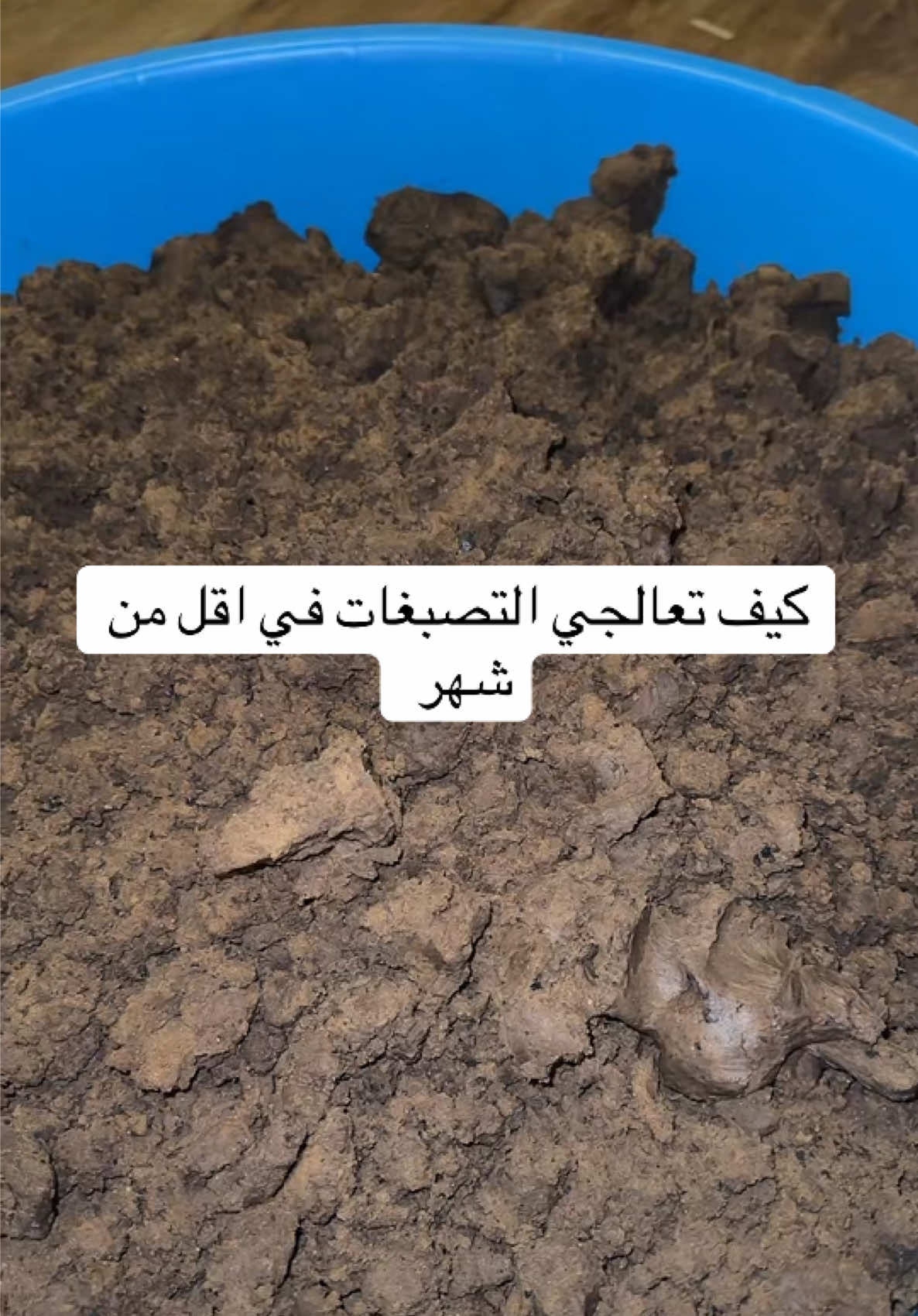 الترطييييب الداخلي و الخارجي يغير بشرتك 180 درجه #دلكه_شهرزاد 