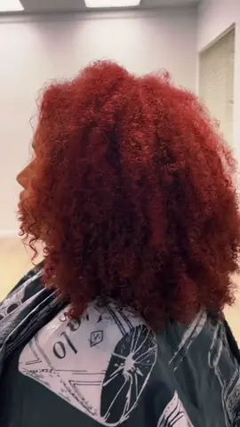@Shawnay Smith changed my life  with this one!  handless blowdry we #handlelessblowdryer #kisshandlelessblowdryer 
