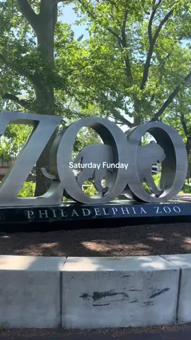 Zoo day with the coolest #fyp 
