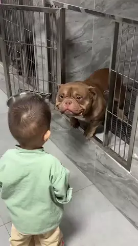 So many doggies need our love, let's do what we can for them