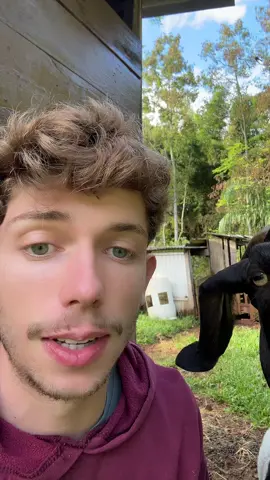 #fypageシ #viralvideos 