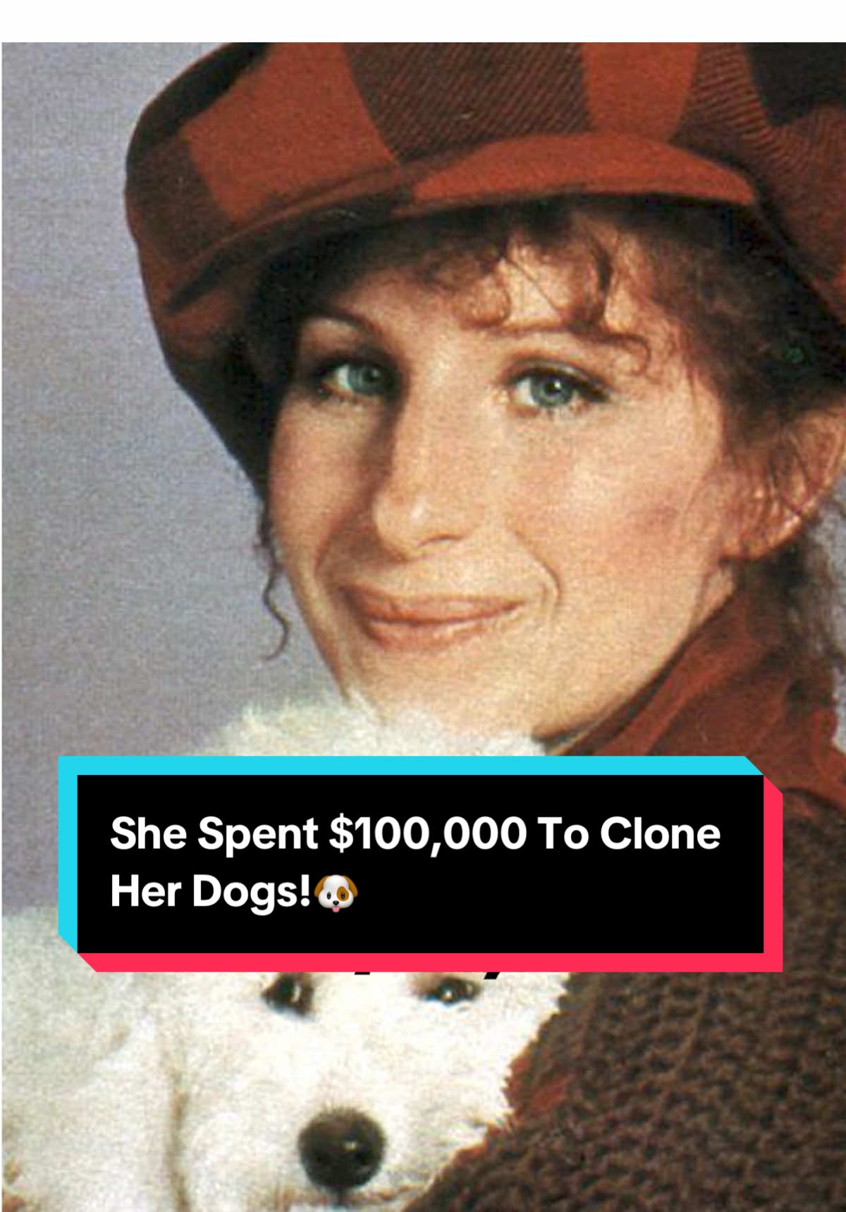 She Spent $100,000 To Clone Her Dogs!🐶  #barbarastreisand #doglover #dogmom  