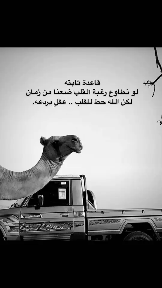 #قاعدة #عقل #قلب #اقتباسات #عبارات #اكسبلورexplore 