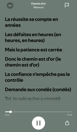 Werenoi - Chemin d’or #spotify #songlyrics #werenoi #chemindor #francetiktok #speedup #speedsongs 