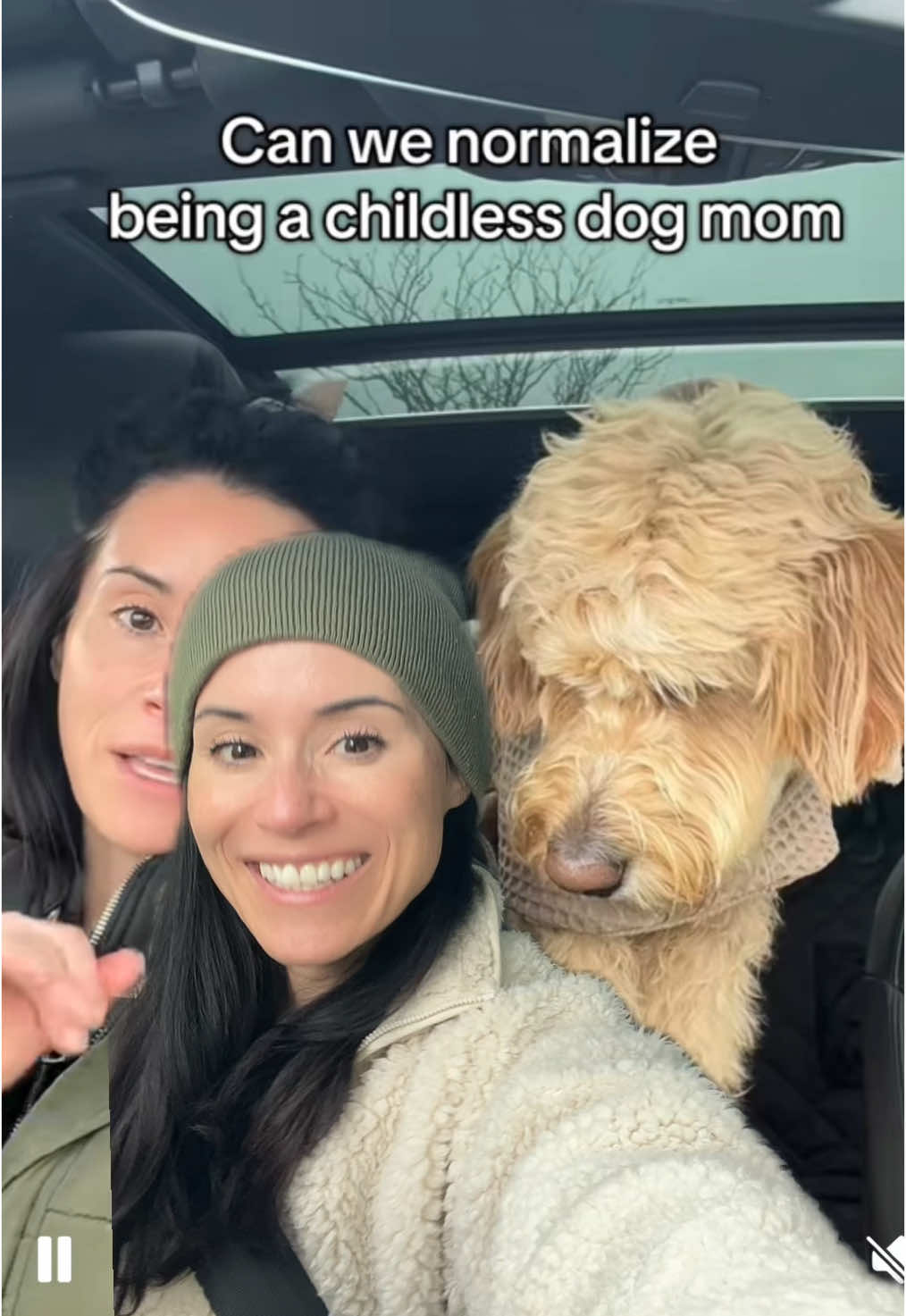 He’s my baby 🐾 #doglove #goldendoodle #dogmom #childfreebychoice 