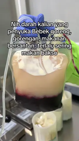 Hayo loo wkwkwkw  #donordarah #darah #blood #plasma #tranfusidarah #kesehatan #pendonor #penyakit #ilmubermanfaat #foryoupage #kolesterol #kolesteroltinggi #kolestrol #kolesteroljahat #lemak #lemakjenuh #fyp #masukberanda #fuppppppppppppppppppppppppp #foryou 
