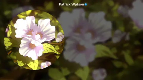 Siéntate a mi lado... #patrickwatson #sitdownbesideme #mylyrics #fyp #anthlyrics