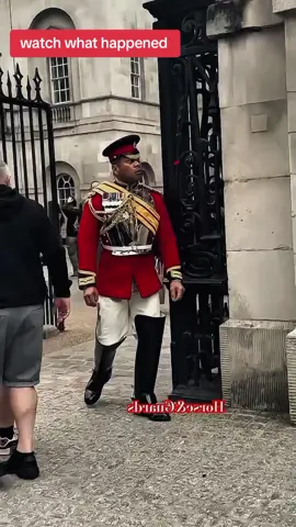 watch what happened #kingguardhorse #kingguard #royalguard 
