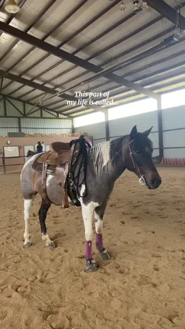 I don’t know what I would do without these two they bring me so much peace and joy #equestriansoftiktok #maremomma #frenchfirengypsy #sixfirewatermoons 