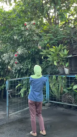 Awali minggu pagi mu dengan cinta satu malam wqwq #cintasatumalam 