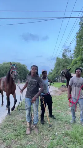 luh after ride vid #caskas #Viral #slowwind #fypageシ #blowthisupforme #viral @Lil Mike 🚩 