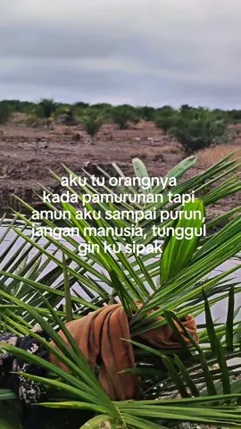 #fypシ゚ #fypシ゚viral🖤tiktok #fyppppppppppppppppppppppp #fypシ゚viral #fyp #baramianhaja 