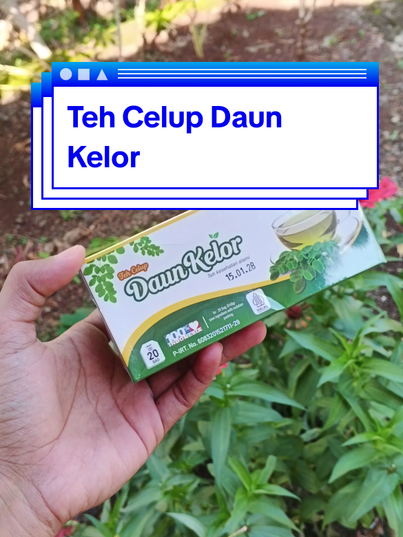 Daun kelor #daunkelor #moringa #daunkelorbubuk 