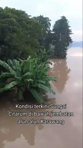 Kondisi terkini Sungai Citarum di bawah jembatan alun-alun Karawang sudah meluap. Kondisi pagi ini pukul 06.00 WIB minggu (18/5/2025)